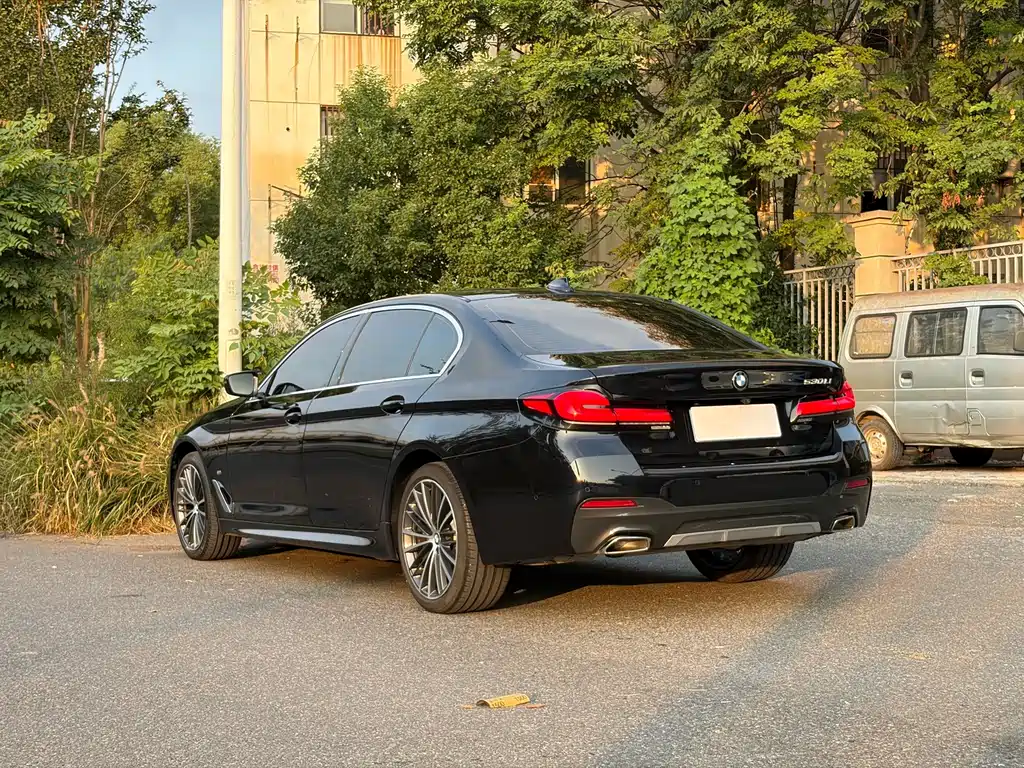BMW 5 Series — миниатюра 4