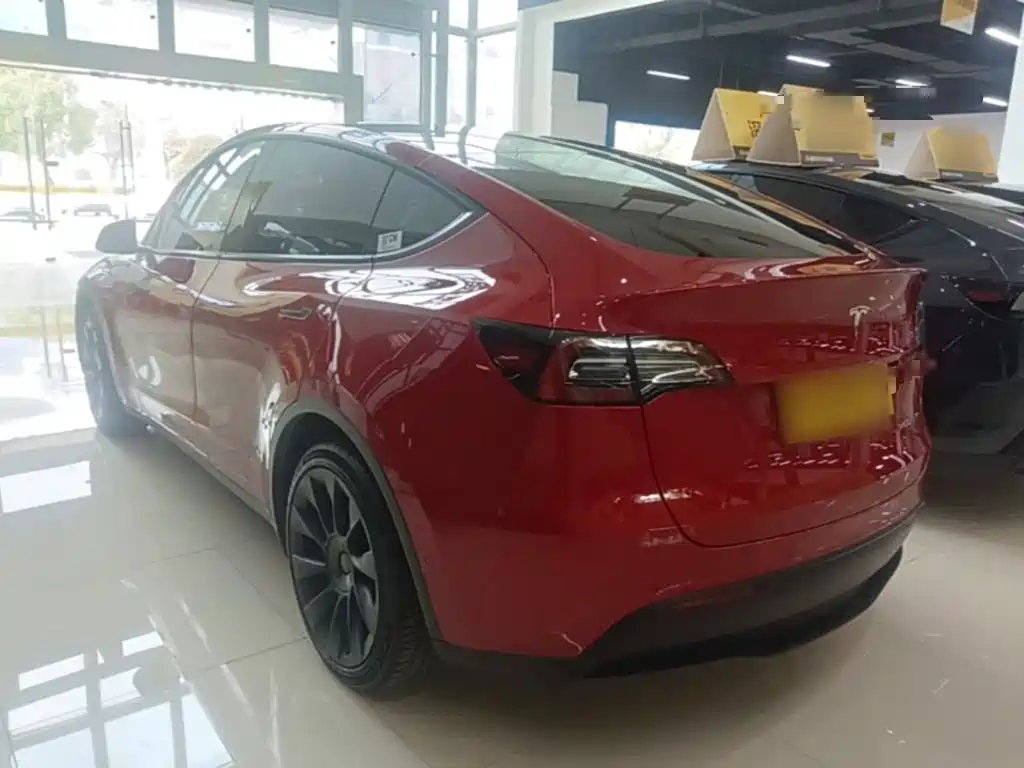 Tesla Model Y — миниатюра 5