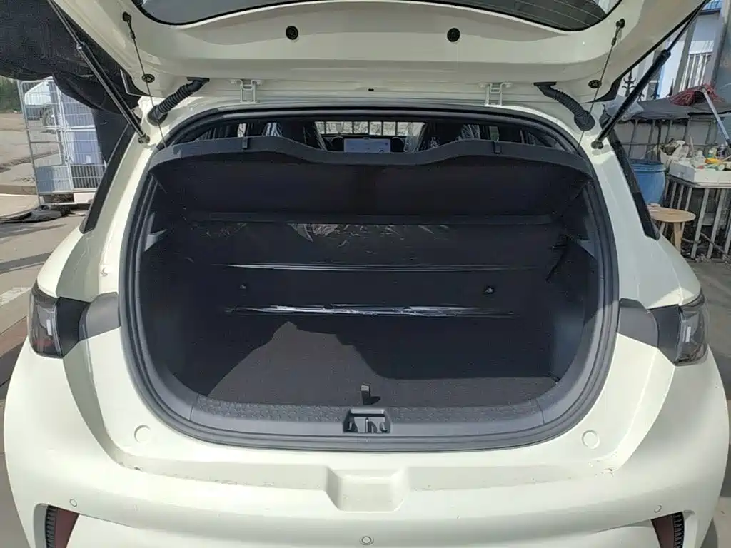 BYD Dolphin — миниатюра 19
