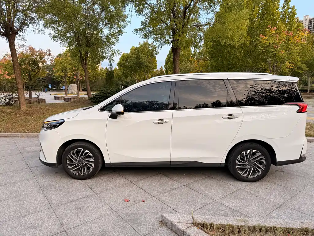 SAIC MAXUS CHASE G50