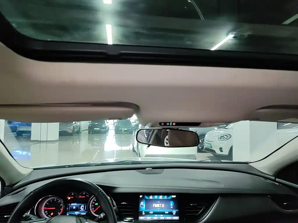 Buick Regal — миниатюра 18