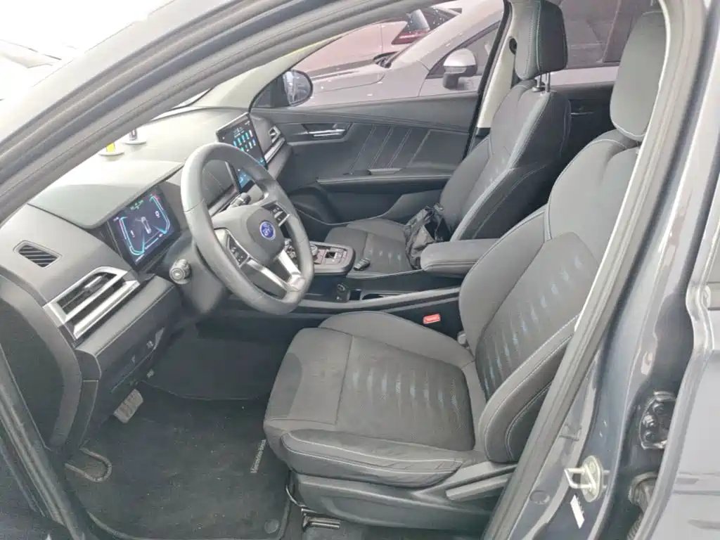 BYD e2 — миниатюра 15