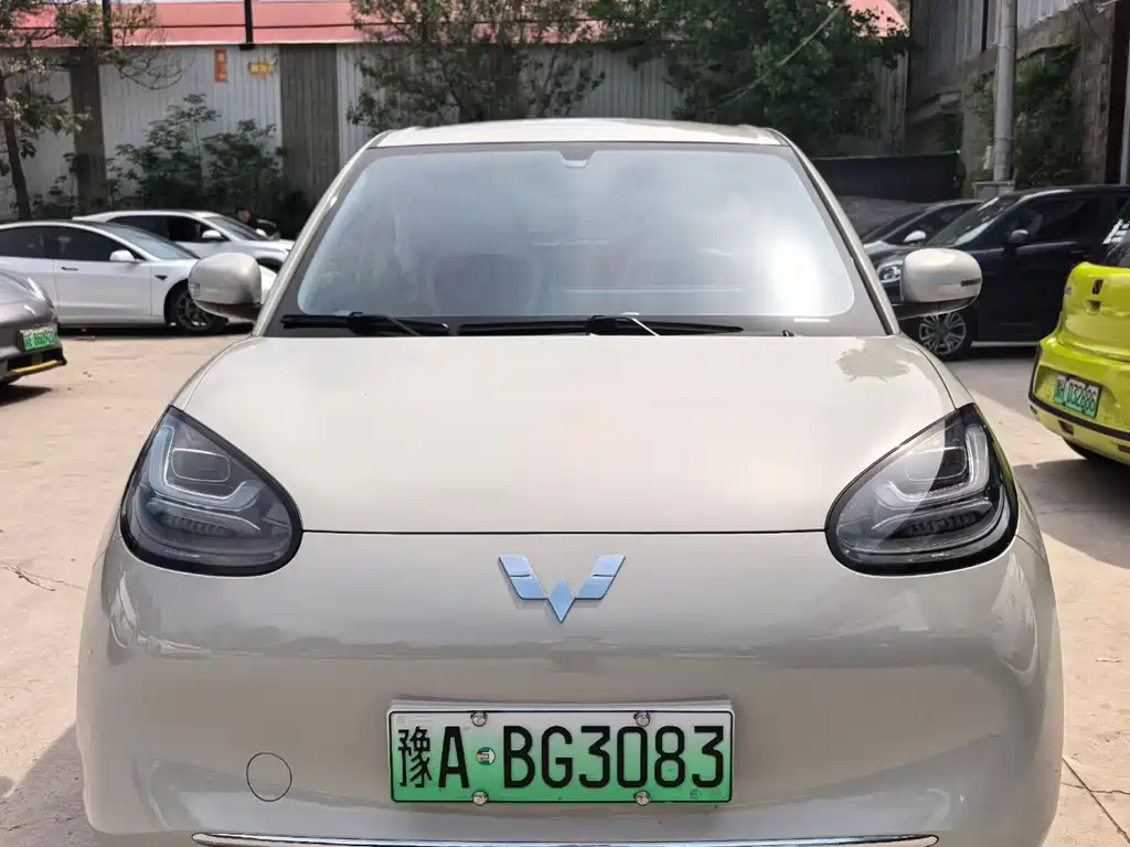 Wuling Bingo 2024