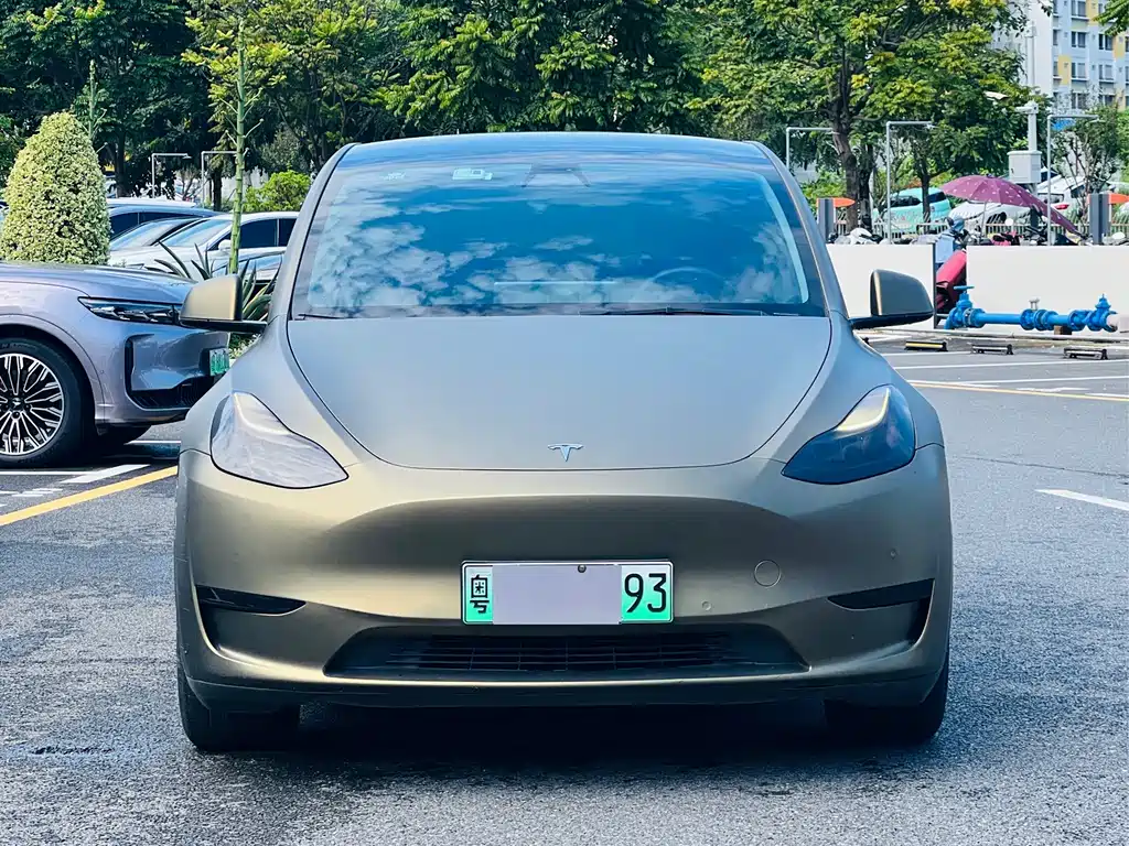 Tesla Model Y — миниатюра 2