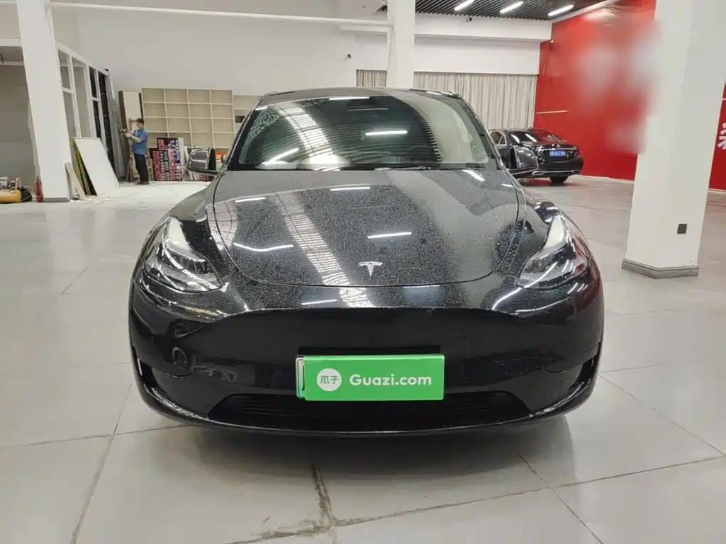 Tesla Model Y — миниатюра 3