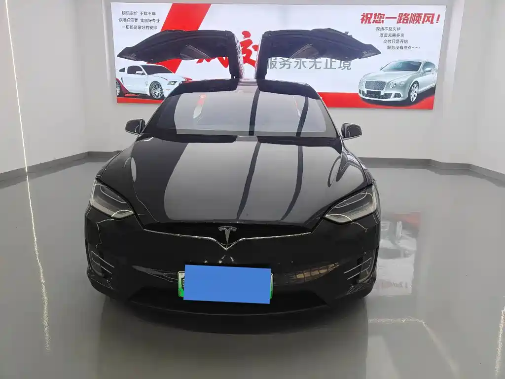 Tesla Model X — миниатюра 6