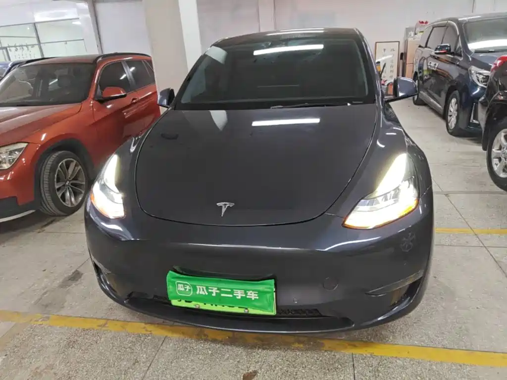 Tesla Model Y — миниатюра 3