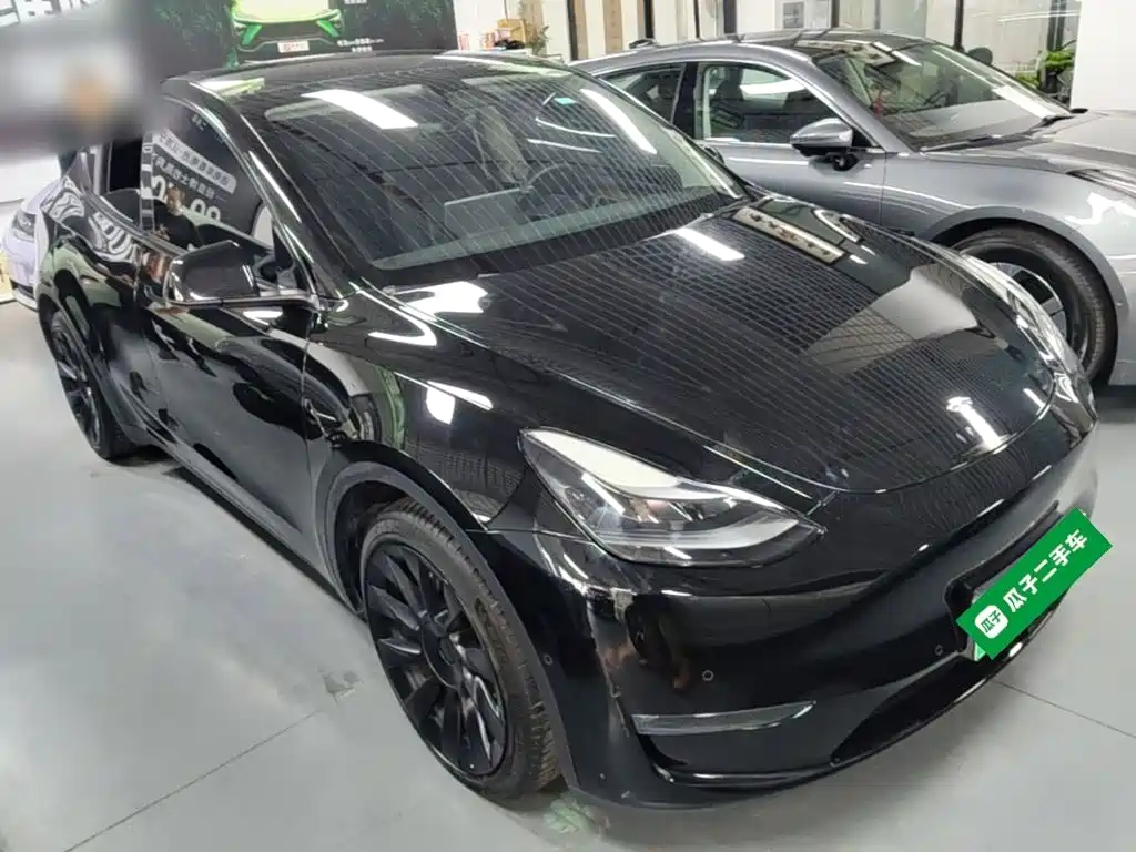 Tesla Model Y — миниатюра 4