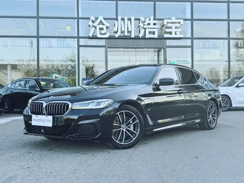 BMW 5 Series New Energy 2020