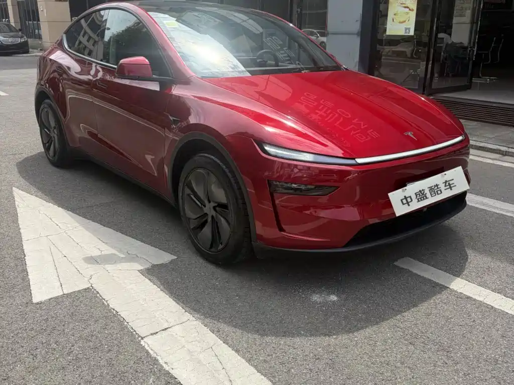 Tesla Model Y — миниатюра 3