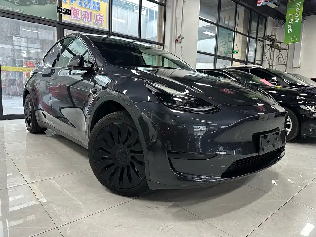 Tesla Model Y — миниатюра 3