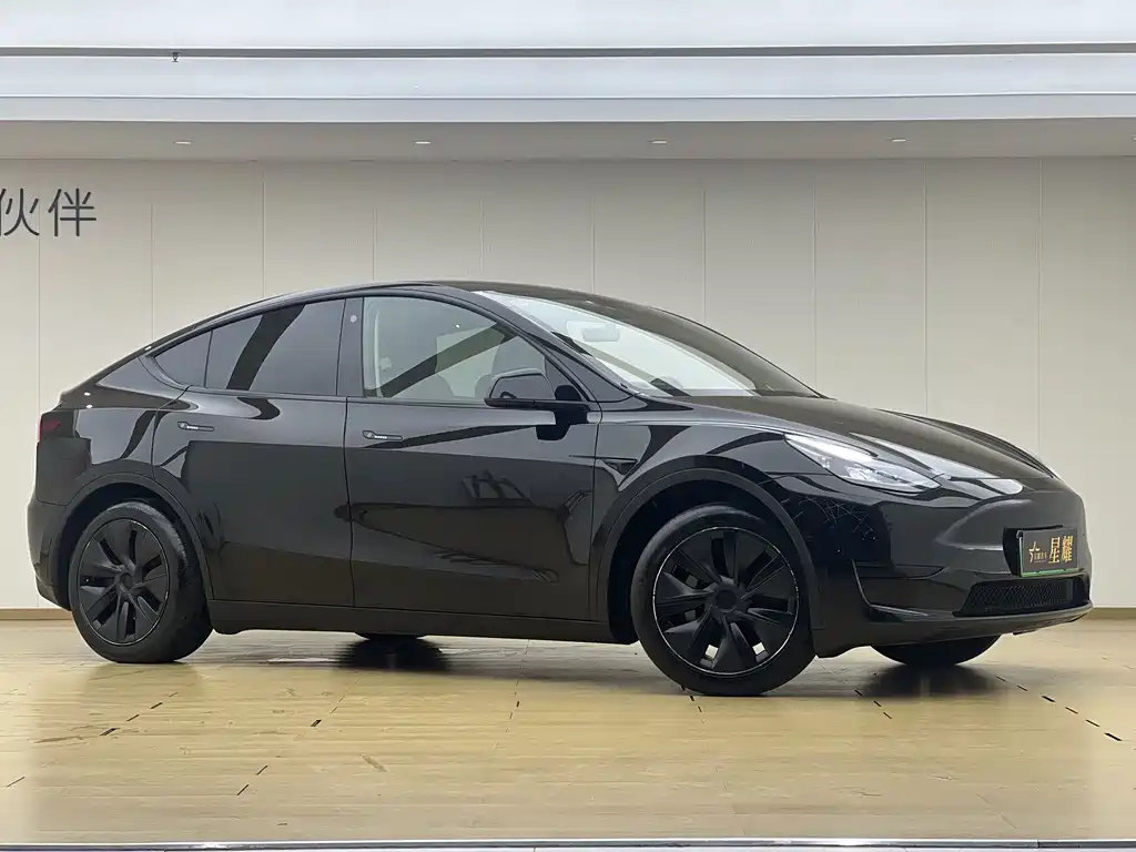 Tesla Model Y — миниатюра 3