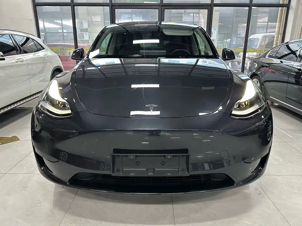 Tesla Model Y — миниатюра 2