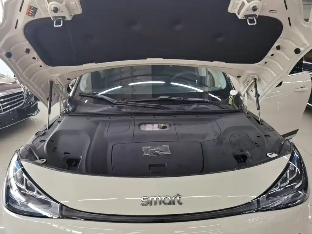 smart Smart #1 — миниатюра 20