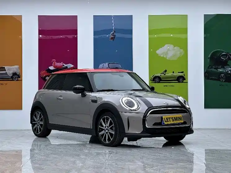 Mini Mini 2024