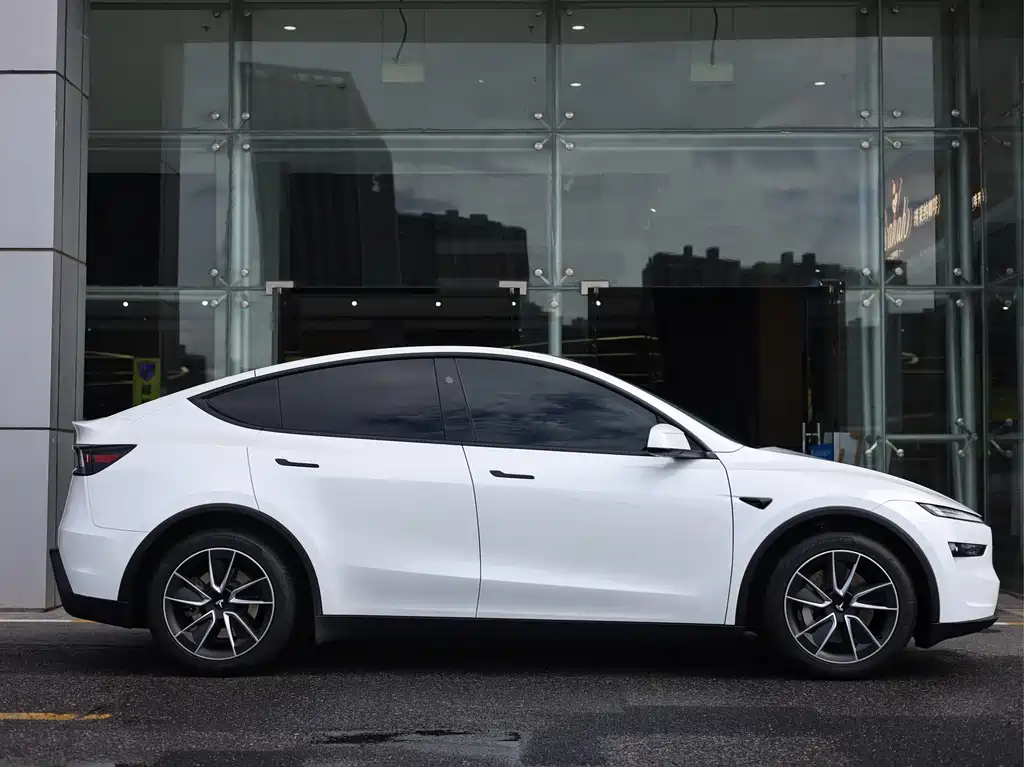 Tesla Model Y — миниатюра 8