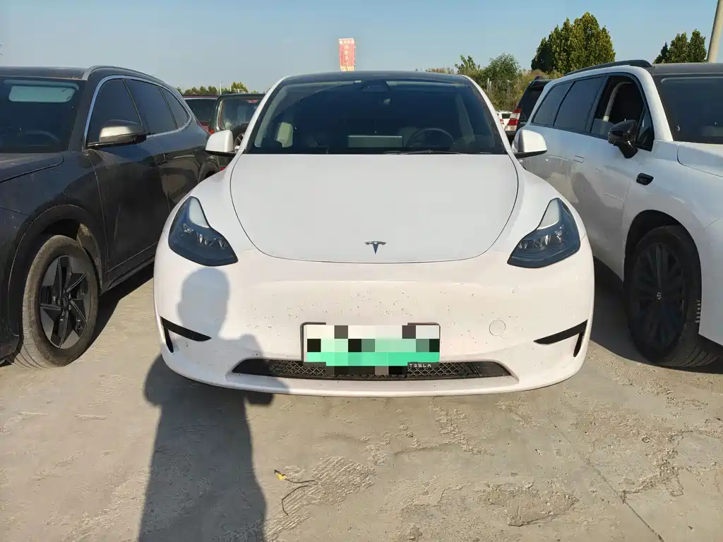 Tesla Model Y — миниатюра 2