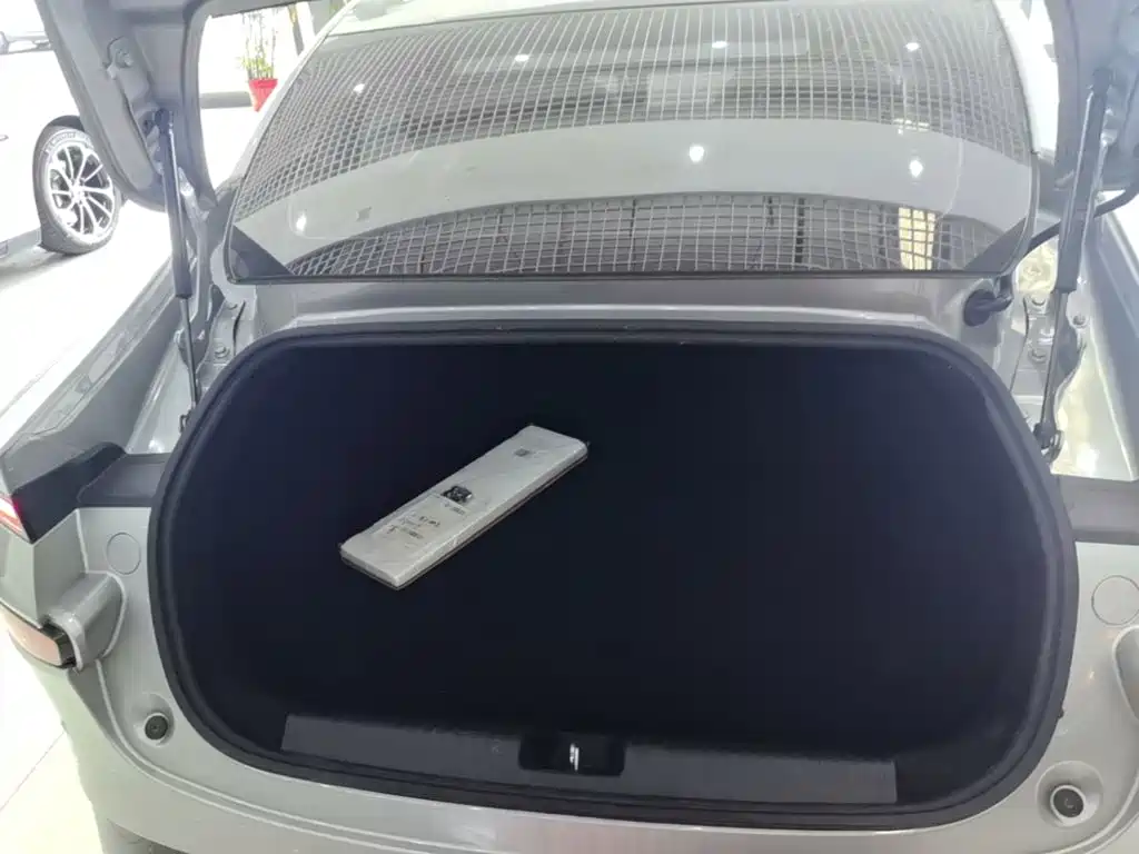 XPeng P7 — миниатюра 19