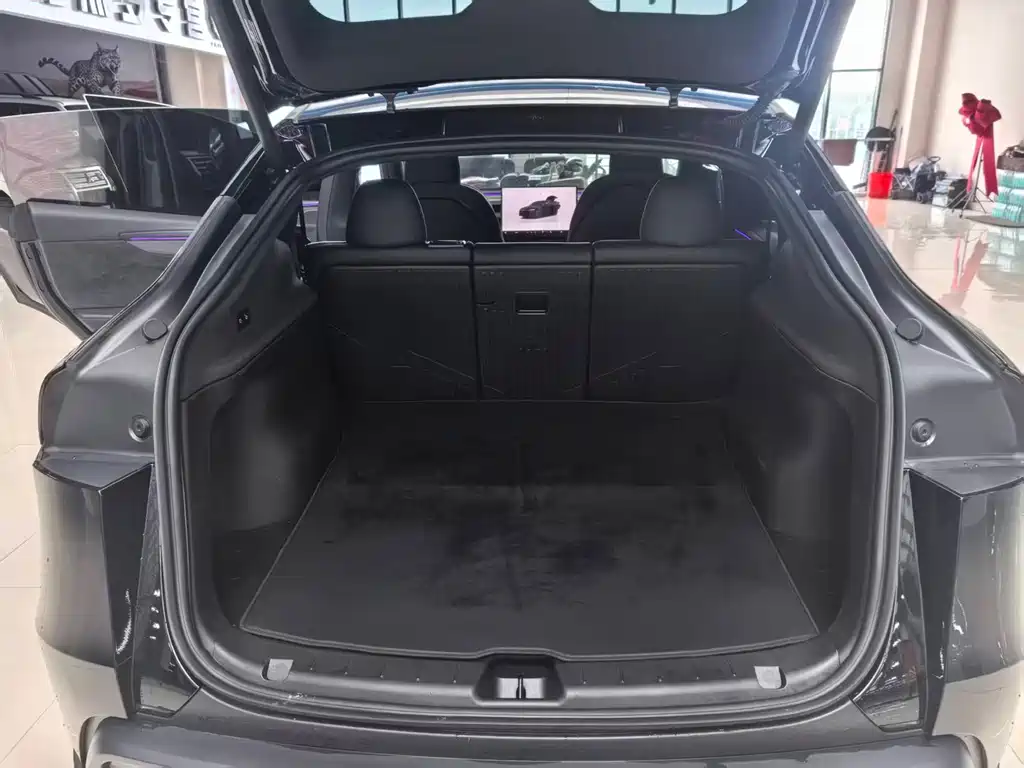 Tesla Model Y — миниатюра 10