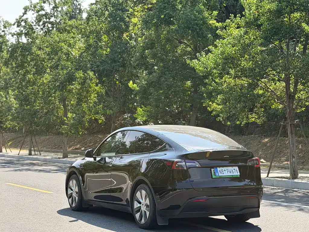 Tesla Model Y — миниатюра 12