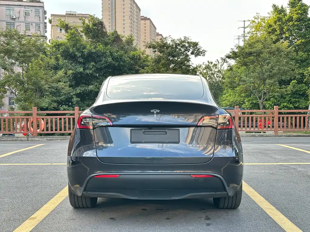 Tesla Model Y — миниатюра 5