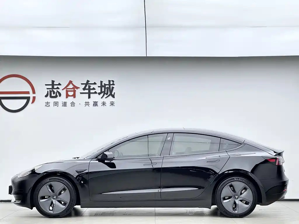 Tesla Model 3 — миниатюра 2