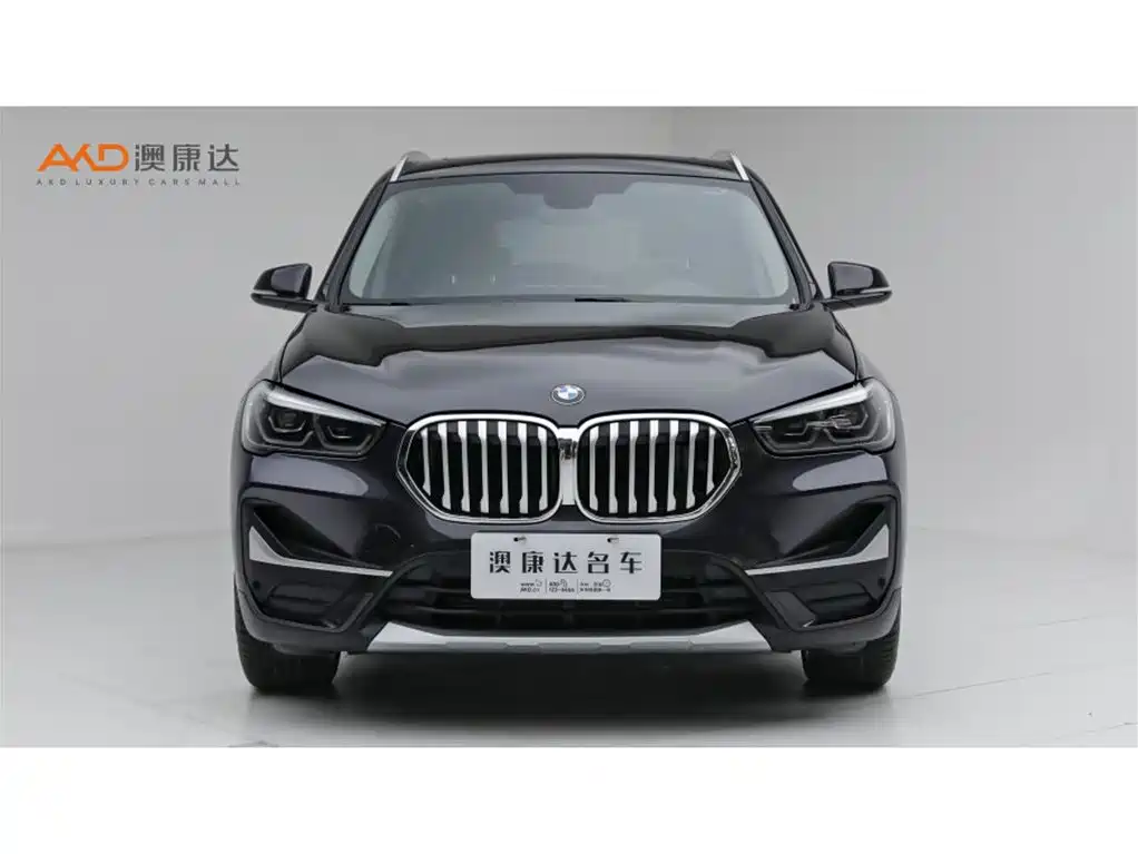 BMW X1 — миниатюра 2