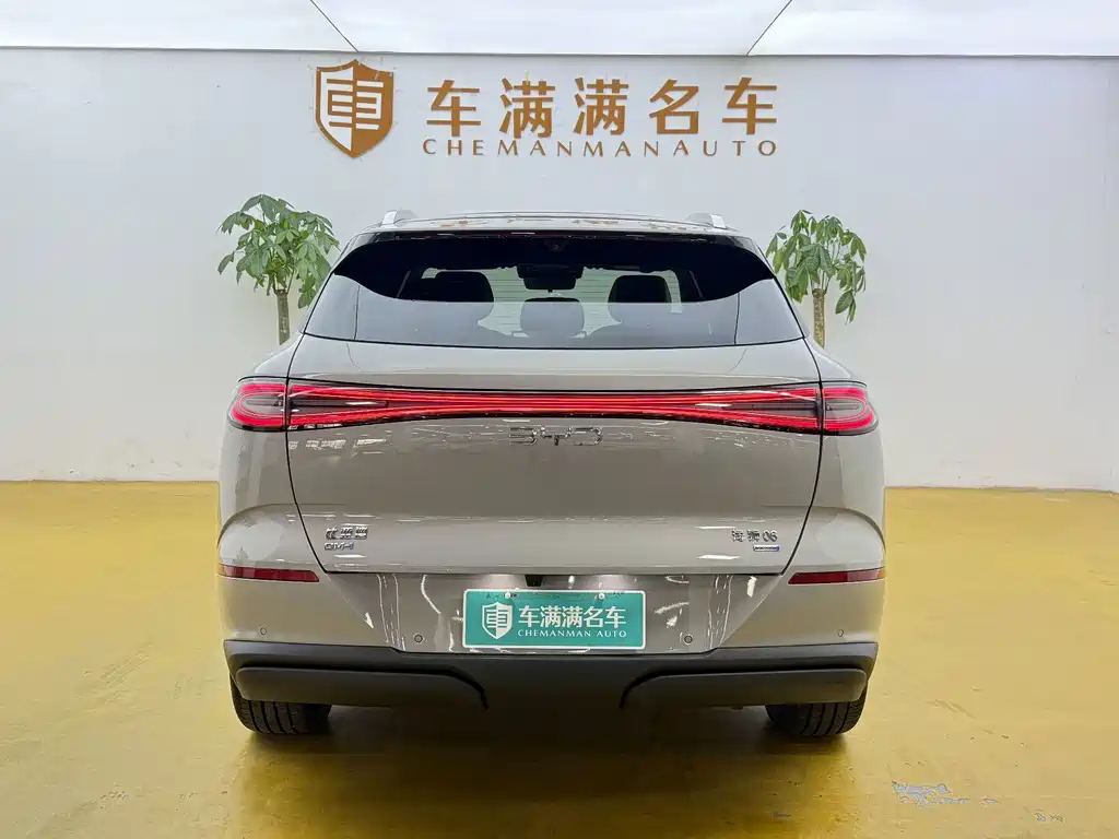 BYD Haisi 06 — миниатюра 12