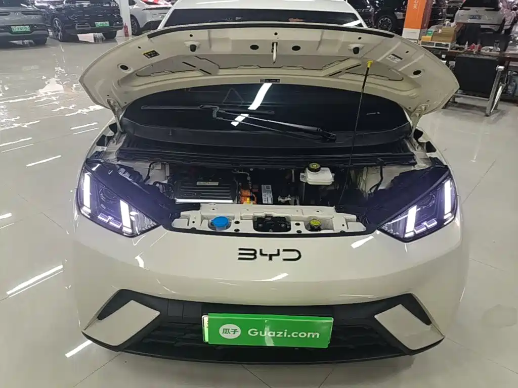 BYD Seagull — миниатюра 20