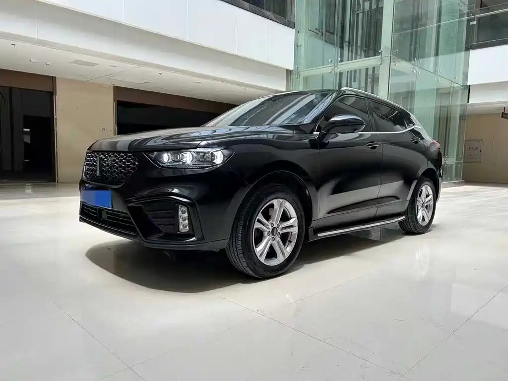 WEI PAI WEI BRAND VV5