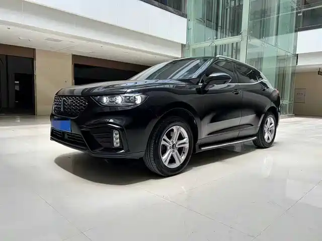 WEI PAI WEI BRAND VV5 2021