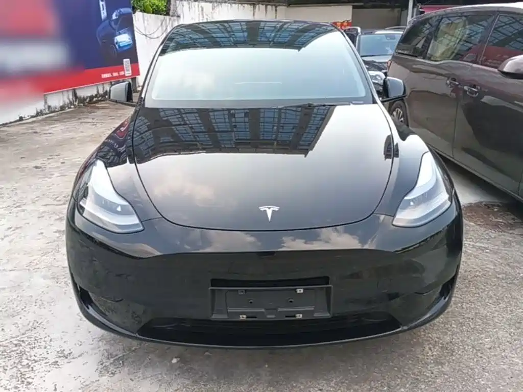 Tesla Model Y — миниатюра 3