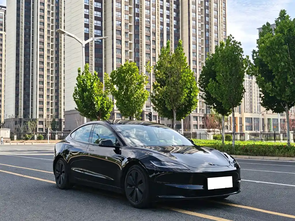 Tesla Model 3 — миниатюра 3