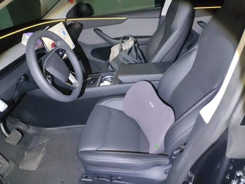 Tesla Model Y — миниатюра 16