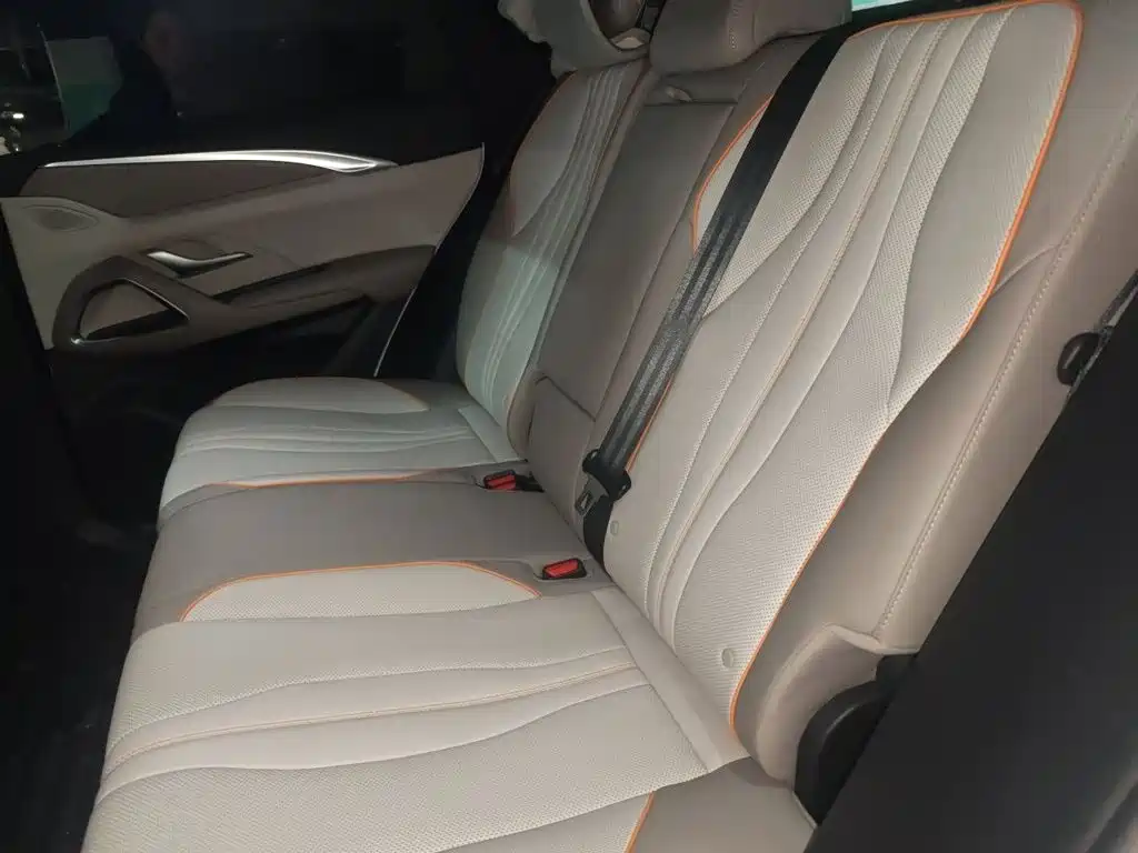 BYD Pro New Energy — миниатюра 13