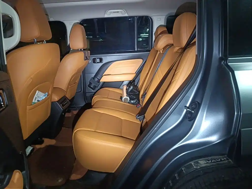 Haval Menglong New Energy — миниатюра 15