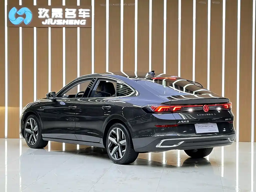 Volkswagen Lamando — миниатюра 19
