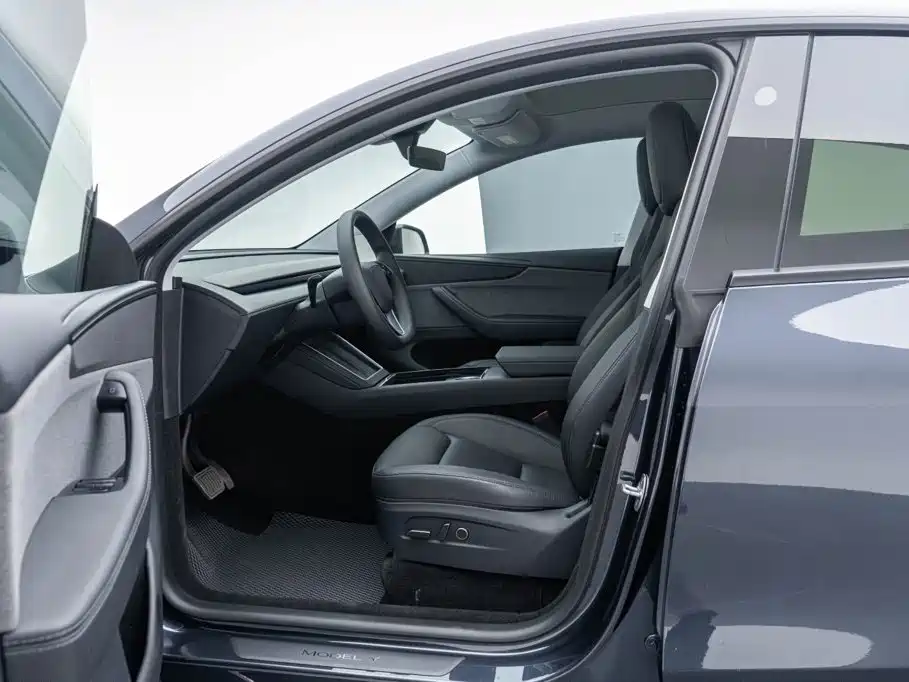 Tesla Model Y — миниатюра 9
