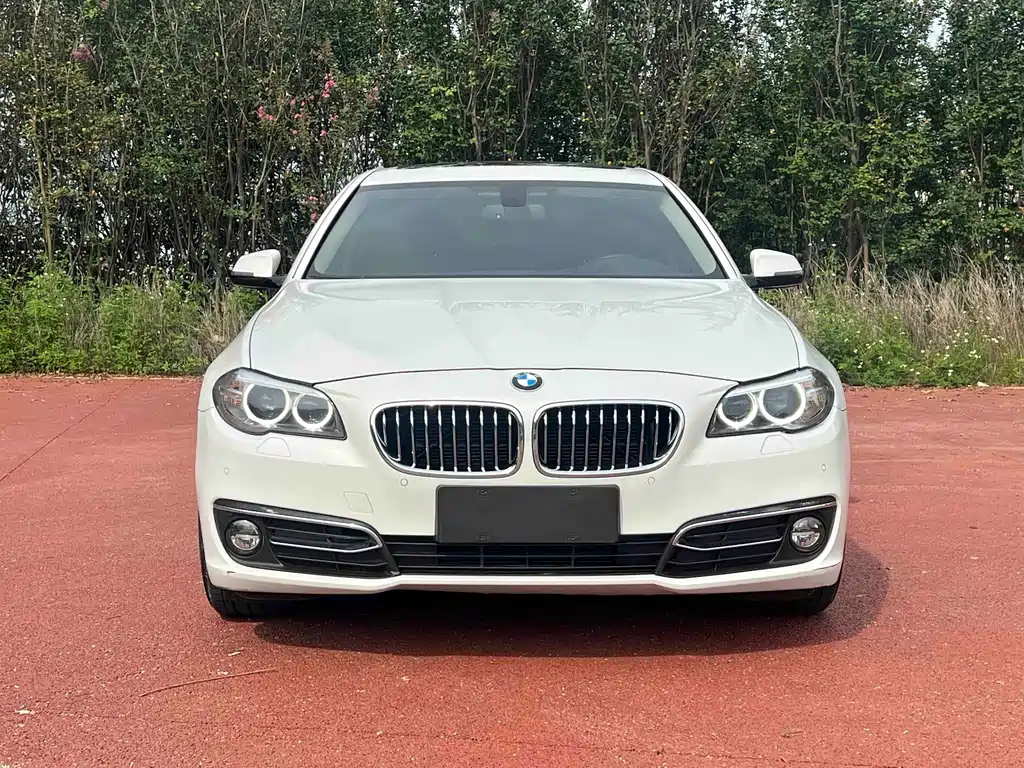 BMW 5 Series — миниатюра 2