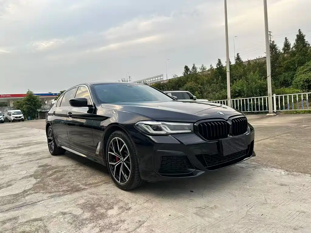 BMW 5 Series — миниатюра 3