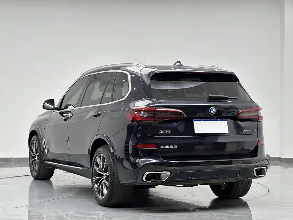 BMW X5 — миниатюра 6