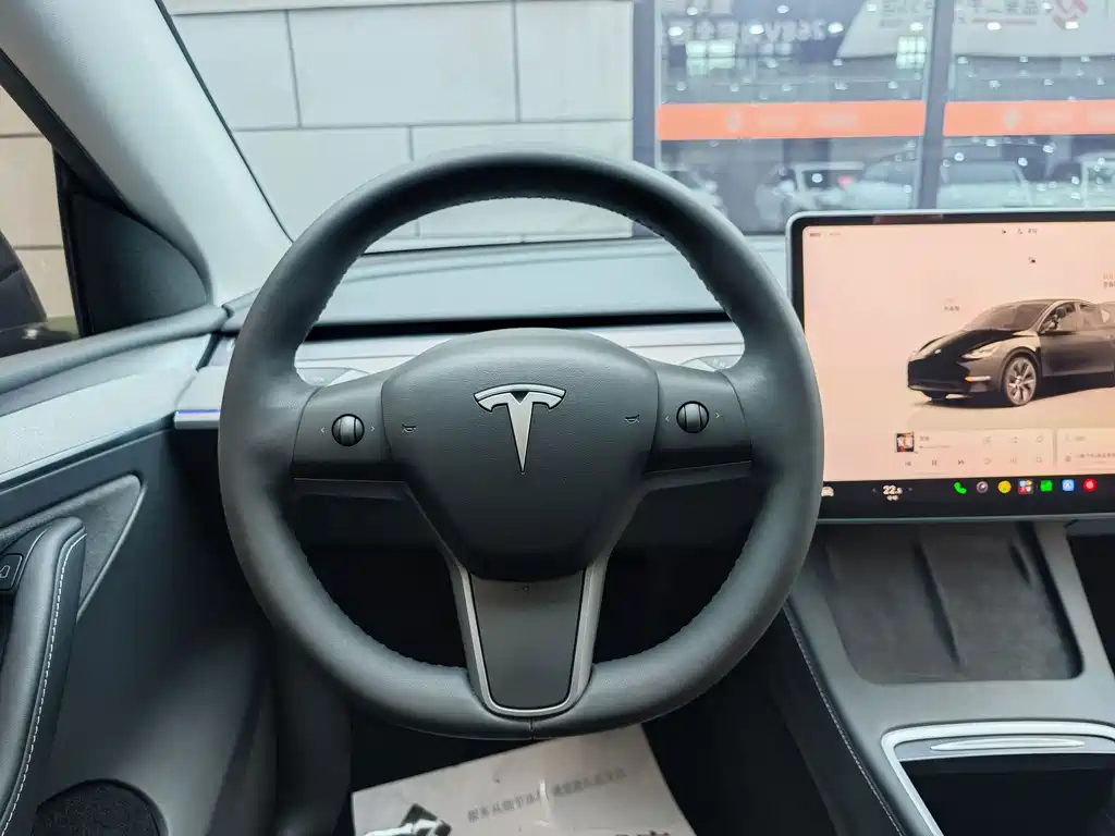 Tesla Model Y — миниатюра 9