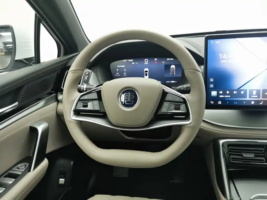 BYD Tang New Energy — миниатюра 11