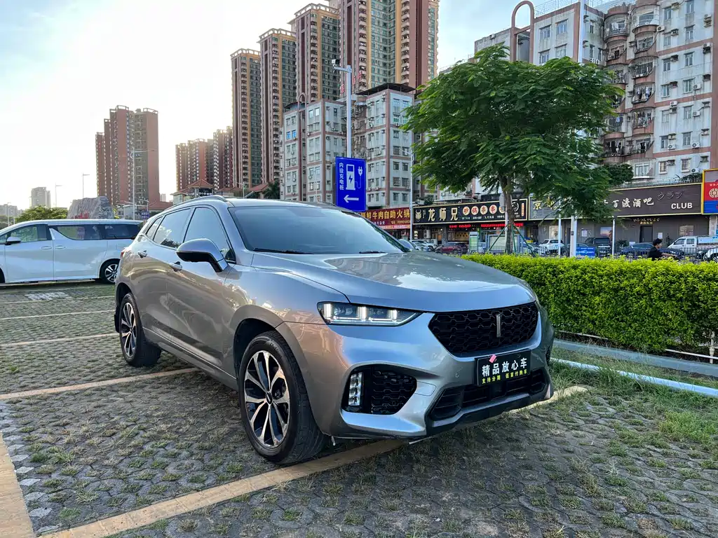 WEI PAI WEI BRAND VV7