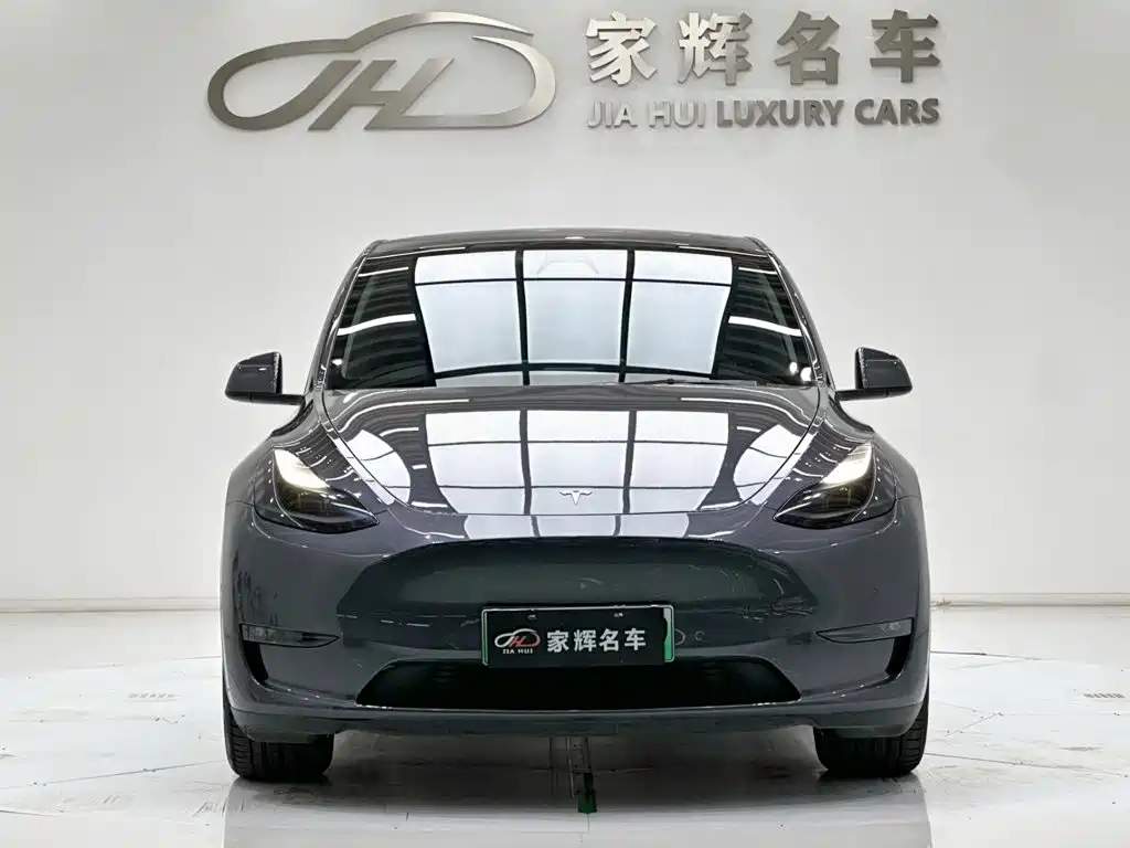 Tesla Model Y — миниатюра 2
