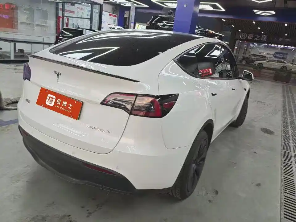 Tesla Model Y — миниатюра 2