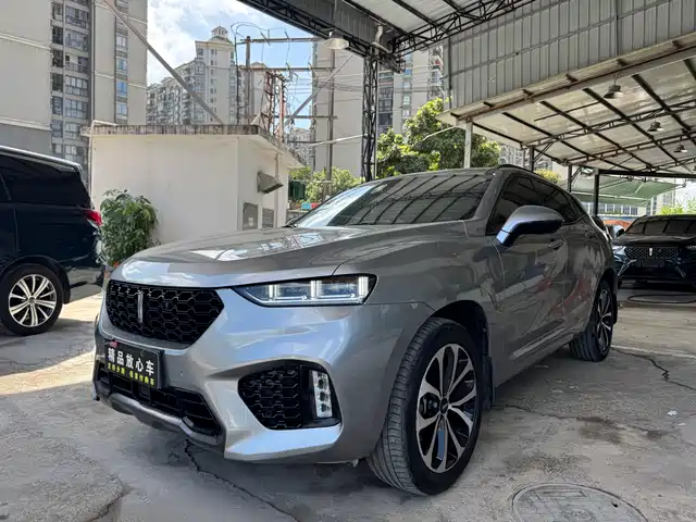 wei-pai wei-brand-vv7