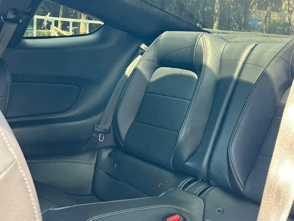 Ford Mustang — миниатюра 12