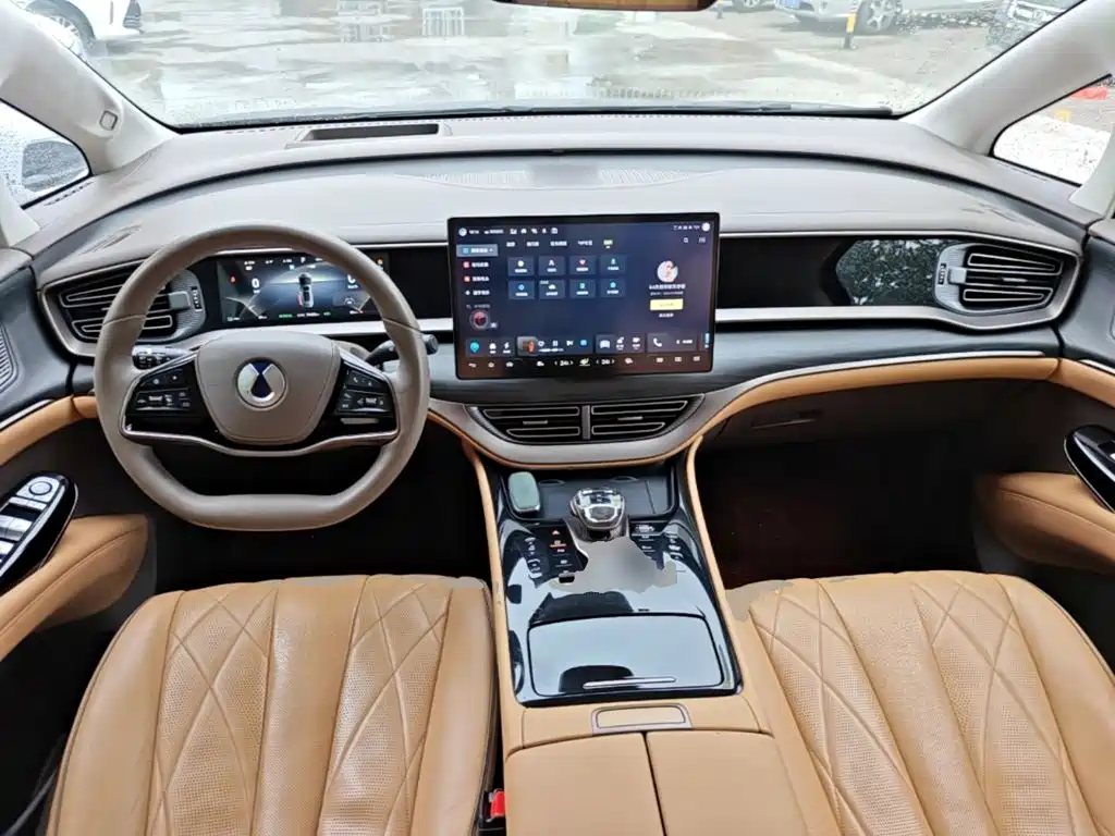 Denza Denza D9 — миниатюра 10