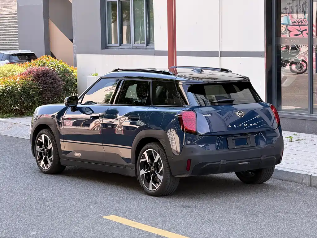 MINI MINI ACEMAN EV — миниатюра 7
